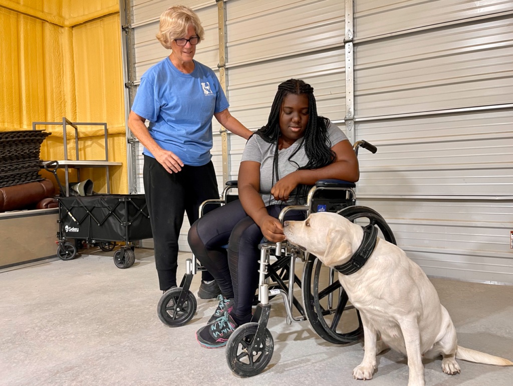 service dog trainers
