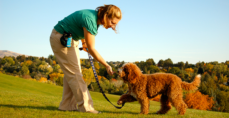 The Benefits of Contacting A Service Dog Trainer